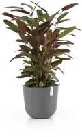 Ecopots kunststof bloempot oslo 35x30.5 cm grijs - afbeelding 6