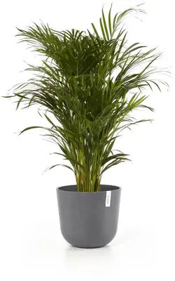 Ecopots kunststof bloempot oslo 35x30.5 cm grijs - afbeelding 7