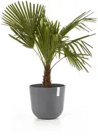 Ecopots kunststof bloempot oslo 35x30.5 cm grijs - afbeelding 8