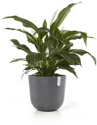 Ecopots kunststof bloempot oslo 35x30.5 cm grijs - afbeelding 2