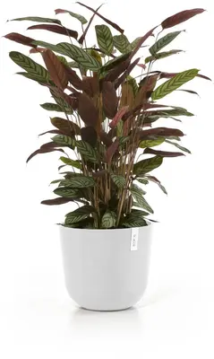 Ecopots kunststof bloempot oslo 35x30.5 cm puurwit - afbeelding 2