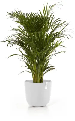 Ecopots kunststof bloempot oslo 35x30.5 cm puurwit - afbeelding 6