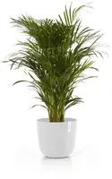 Ecopots kunststof bloempot oslo 35x30.5 cm puurwit - afbeelding 6