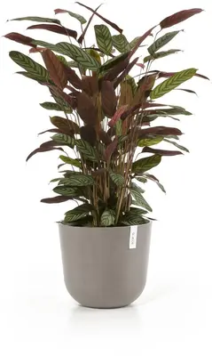Ecopots kunststof bloempot oslo 35x30.5 cm taupe - afbeelding 2