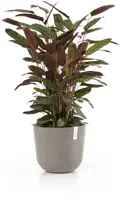 Ecopots kunststof bloempot oslo 35x30.5 cm taupe - afbeelding 2