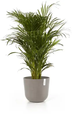 Ecopots kunststof bloempot oslo 35x30.5 cm taupe - afbeelding 7