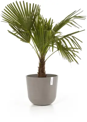 Ecopots kunststof bloempot oslo 35x30.5 cm taupe - afbeelding 8