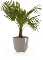 Ecopots kunststof bloempot oslo 35x30.5 cm taupe - afbeelding 8