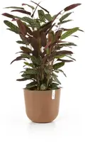 Ecopots kunststof bloempot oslo 35x30.5 cm terracotta - afbeelding 2