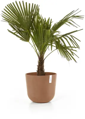 Ecopots kunststof bloempot oslo 35x30.5 cm terracotta - afbeelding 5