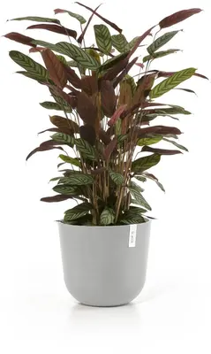 Ecopots kunststof bloempot oslo 35x30.5 cm witgrijs - afbeelding 2