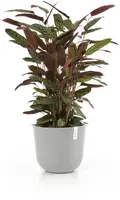 Ecopots kunststof bloempot oslo 35x30.5 cm witgrijs - afbeelding 2