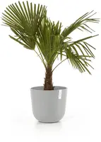 Ecopots kunststof bloempot oslo 35x30.5 cm witgrijs - afbeelding 6