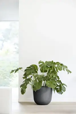 Ecopots kunststof bloempot oslo 45x39.2 cm donkergrijs - afbeelding 6
