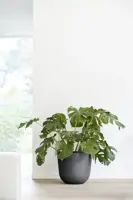 Ecopots kunststof bloempot oslo 45x39.2 cm donkergrijs - afbeelding 6
