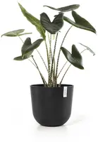 Ecopots kunststof bloempot oslo 45x39.2 cm donkergrijs - afbeelding 9