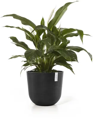 Ecopots kunststof bloempot oslo 45x39.2 cm donkergrijs - afbeelding 2