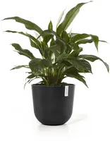 Ecopots kunststof bloempot oslo 45x39.2 cm donkergrijs - afbeelding 2