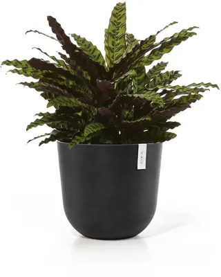 Ecopots kunststof bloempot oslo 45x39.2 cm donkergrijs - afbeelding 8