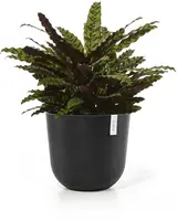 Ecopots kunststof bloempot oslo 45x39.2 cm donkergrijs - afbeelding 8