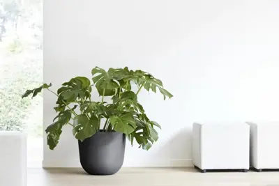 Ecopots kunststof bloempot oslo 45x39.2 cm donkergrijs - afbeelding 5