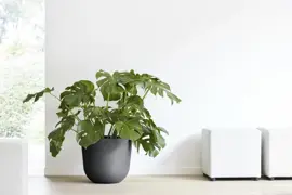Ecopots kunststof bloempot oslo 45x39.2 cm donkergrijs - afbeelding 5
