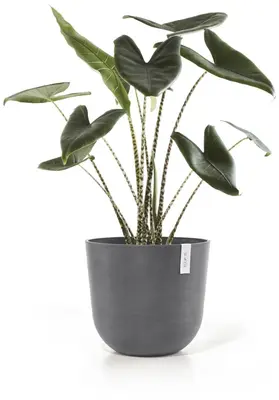 Ecopots kunststof bloempot oslo 45x39.2 cm grijs - afbeelding 6