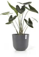 Ecopots kunststof bloempot oslo 45x39.2 cm grijs - afbeelding 6