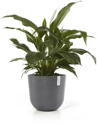 Ecopots kunststof bloempot oslo 45x39.2 cm grijs - afbeelding 2