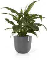 Ecopots kunststof bloempot oslo 45x39.2 cm grijs - afbeelding 2