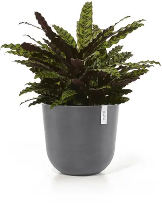Ecopots kunststof bloempot oslo 45x39.2 cm grijs - afbeelding 5