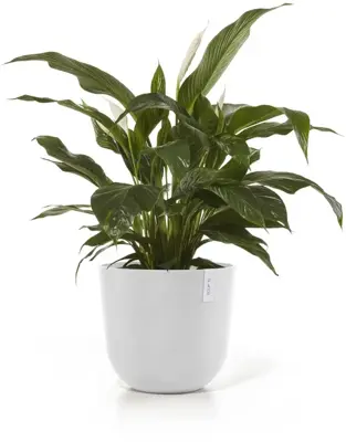 Ecopots kunststof bloempot oslo 45x39.2 cm puurwit - afbeelding 2