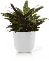 Ecopots kunststof bloempot oslo 45x39.2 cm puurwit - afbeelding 7