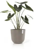 Ecopots kunststof bloempot oslo 45x39.2 cm taupe - afbeelding 9