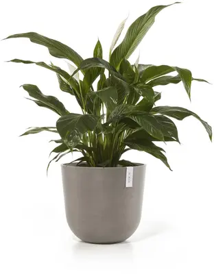 Ecopots kunststof bloempot oslo 45x39.2 cm taupe - afbeelding 7