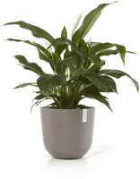 Ecopots kunststof bloempot oslo 45x39.2 cm taupe - afbeelding 7
