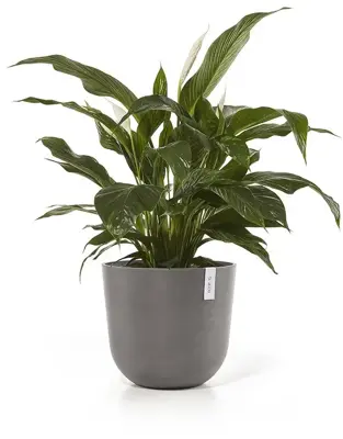 Ecopots kunststof bloempot oslo 45x39.2 cm taupe - afbeelding 2