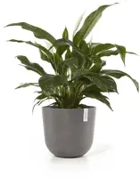 Ecopots kunststof bloempot oslo 45x39.2 cm taupe - afbeelding 2