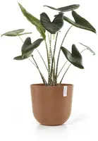 Ecopots kunststof bloempot oslo 45x39.2 cm terracotta - afbeelding 4