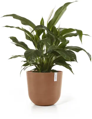 Ecopots kunststof bloempot oslo 45x39.2 cm terracotta - afbeelding 2