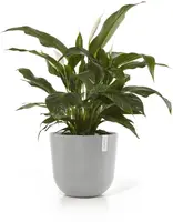 Ecopots kunststof bloempot oslo 45x39.2 cm witgrijs - afbeelding 2
