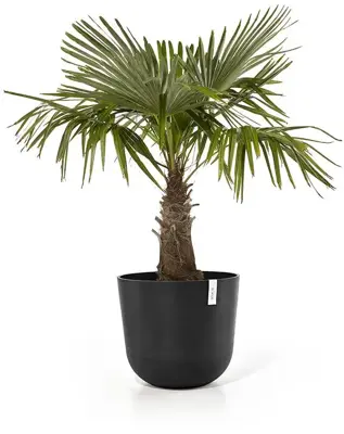 Ecopots kunststof bloempot oslo 55x48.5 cm donkergrijs - afbeelding 2