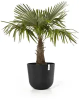 Ecopots kunststof bloempot oslo 55x48.5 cm donkergrijs - afbeelding 2