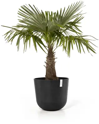 Ecopots kunststof bloempot oslo 55x48.5 cm donkergrijs - afbeelding 6