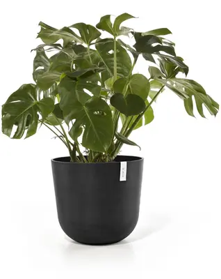 Ecopots kunststof bloempot oslo 55x48.5 cm donkergrijs - afbeelding 7