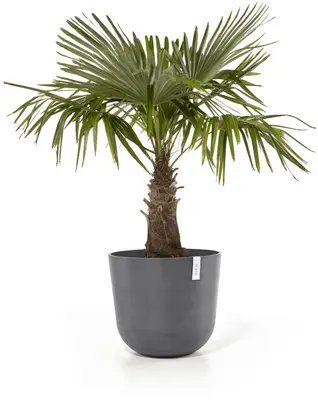 Ecopots kunststof bloempot oslo 55x48.5 cm grijs - afbeelding 2