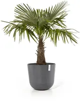 Ecopots kunststof bloempot oslo 55x48.5 cm grijs - afbeelding 2