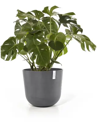 Ecopots kunststof bloempot oslo 55x48.5 cm grijs - afbeelding 3