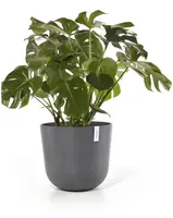 Ecopots kunststof bloempot oslo 55x48.5 cm grijs - afbeelding 3