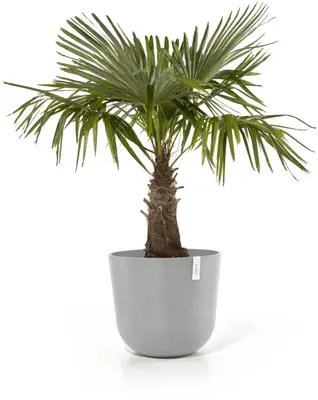 Ecopots kunststof bloempot oslo 55x48.5 cm grijs     - afbeelding 2